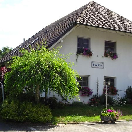 Pension Egerer Bad Kostritz Exterior photo